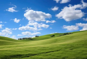 HDR Nedir? Görsellerinizi Canlandıracak Yüksek Dinamik Aralık Teknolojisi 18 HDR Ne demek?