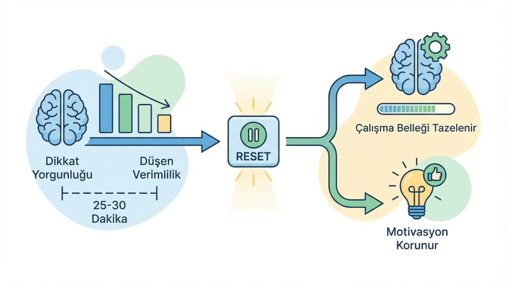 Mini Aralar Neden Odak Süresini Artırır?