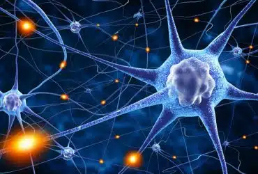 Neuroplasticity_drspar.png-1080×675