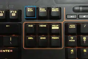 Print Screen (PrtScr) Tuşu