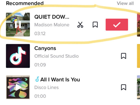 tiktok müzik arama